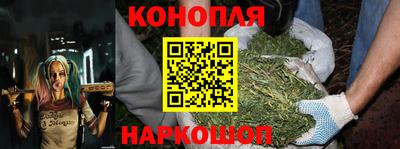 сатива Краснокаменск