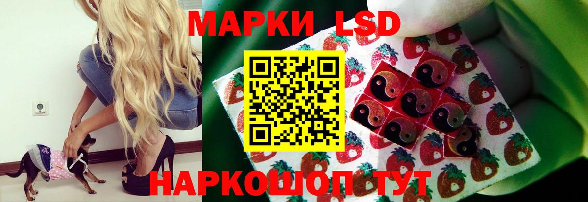 Торжок  ЛСД экстази ecstasy  Вход с VPN 