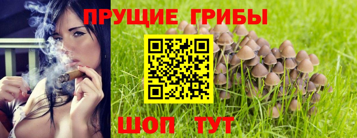 Псилоцибиновые грибы мицелий  Вход с VPN  Торжок 