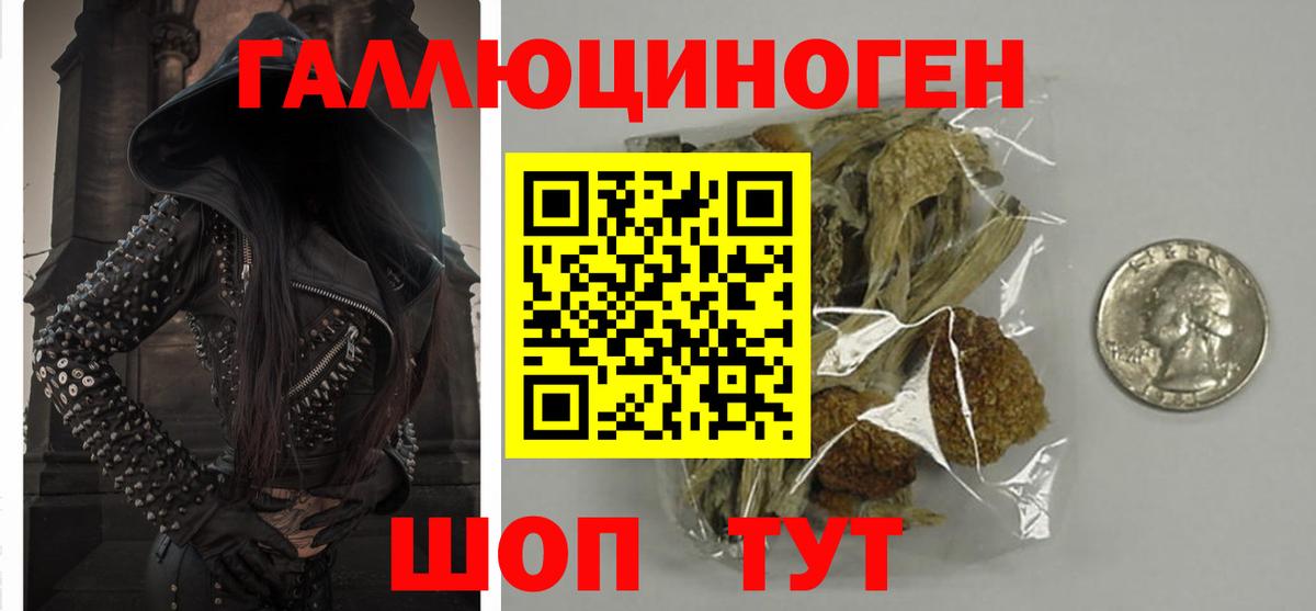 Псилоцибиновые грибы MAGIC MUSHROOMS Торжок